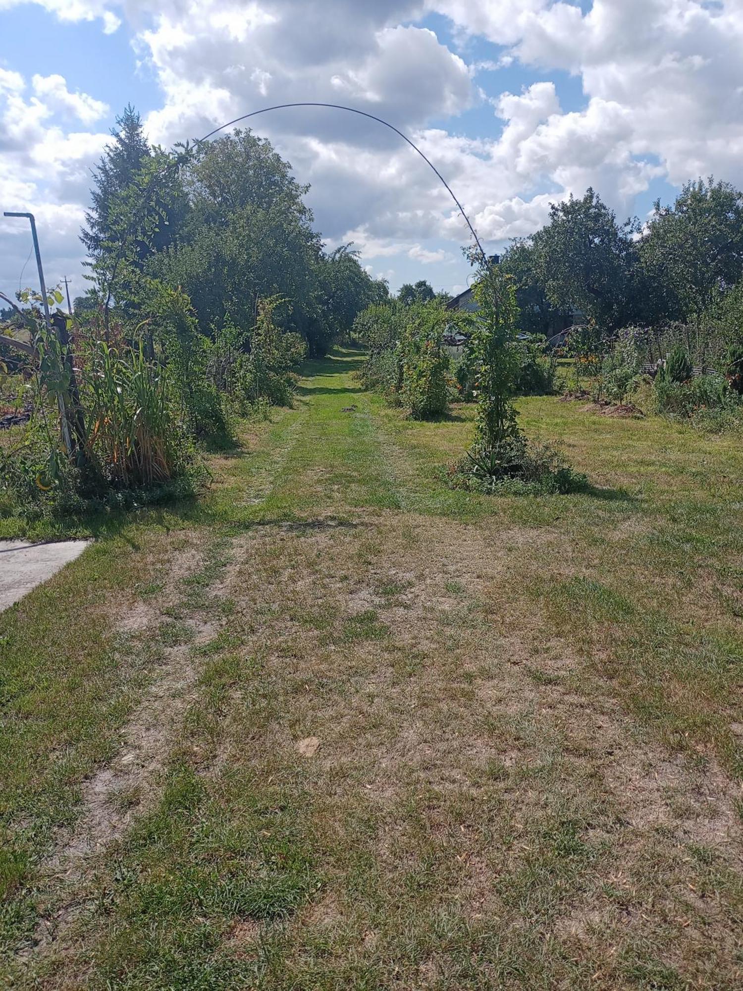 Agroturystyka "Pod Bluszczem" Krasnobród Eksteriør billede